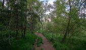 Tour Zu Fuß Senden - Venne Rundweg A9 - Photo 10