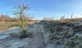 Trail Walking Wichelen - schellebelle Wetteren 16,9 km - Photo 13