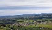 Randonnée Marche Saint-Martin-d'Ardèche - Aigueze rocher de Castelviel - Photo 4