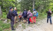 Tocht Stappen Autrans-Méaudre en Vercors - autrans - Photo 11