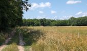 Tour Wandern Villandry - Villandry - Vallères - 16.3km 145m 4h30 (1h) - 2025 06 12 - Photo 3