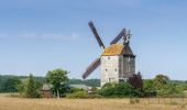 Tour Zu Fuß Am Mellensee - Saalower Mühlenweg - Photo 10