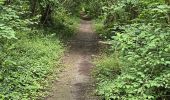 Trail Walking Oncy-sur-École - Oncy-sur-École - Grotte aux Fées  - Photo 15