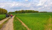 Tocht Stappen Doische - De Gochenée à Vodelée par la vallée de l'Hermeton - Photo 10