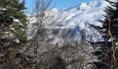 Tour Schneeschuhwandern Génos - Val Louron raquettes - Photo 20