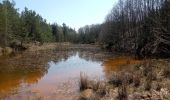 Trail On foot Třemošná - [Č] Senný dolík - Záluží - Photo 10