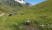 Percorso Marcia Bourg-Saint-Maurice - le lac de Mya, le col des Fours et la tête  sud des Fours - Photo 7