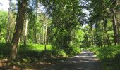 Randonnée Marche Choisy-au-Bac - en forêt de Laigue_7_06_2020_sur les routes de la Fontaine à Baril_Belle Assise_Plessis-Brion_chemin de Voie d'Eau - Photo 17