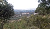 Trail Walking Montesquieu-des-Albères - dans les environs de Montesquieu  - Photo 12