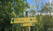 Tour Wandern Sallanches - J12 - R10 - Cascade de l'Arpenaz, les lacs des Îlettes et Luzier - Photo 17