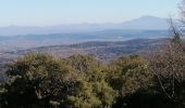 Tour Wandern Saint-Laurent-de-Carnols - la chartreuse de valbonne - Photo 6