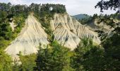 Tour Wandern Rosières - Ravin de corbeuf  - Photo 6