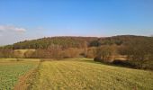 Tour Zu Fuß Rodenbach - Spessartbogen Zubringer Niederrodenbach - Burgberg - Photo 8