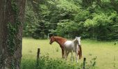 Randonnée Marche Saou - Forêt de Saou  - Photo 20