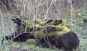 Trail Walking Olne - olne . grand vaux . bois d olne . basse bouheye . olne - Photo 3