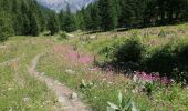 Trail Walking Puy-Saint-Vincent - cascades puy saint vincent - Photo 3