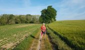 Trail Walking Ottignies-Louvain-la-Neuve - 2020-05-21 IR226 Rofessart 20 Km de GR Rando - Photo 13
