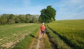 Tocht Stappen Ottignies-Louvain-la-Neuve - 2020-05-21 IR226 Rofessart 20 Km de GR Rando - Photo 13