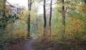 Trail Walking Gesves - bois de Gesves 4,2 km - Photo 3