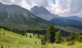 Tocht Stappen Villnöß - Funes - Puez Geisler - Gampenalm - Photo 13