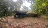 Trail  Saint-Brisson - Saint Brisson Morvan - Photo 5