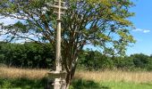 Randonnée Marche Vitrac - Boucle de Marobert - Photo 3