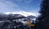 Trail Touring skiing Montsapey - pas de Freydon - Photo 1