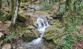 Randonnée Marche Plan-d'Aups-Sainte-Baume - grotte M Madeleine et Huveaunne - Photo 9