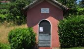 Percorso A piedi Arzignano - Sentiero Blu - Photo 8