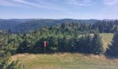 Tour Wandern Woll - Lac de Lispach, la Roche des Bioquets, La Tête de Grouvelin - Photo 5