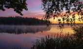 Randonnée A pied Malschwitz - Malešecy - Naturerlebnispfad „Guttauer Teiche & Olbasee