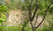 Tour Zu Fuß Haibach - Kulturweg Haibach - Photo 1