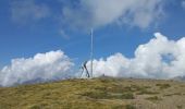 Trail Walking Puy-Saint-André - Cime de la Condamine en boucle  - Photo 5