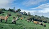 Tocht Stappen Ponsas - Les roches qui danse - Photo 1