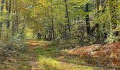 Tocht Stappen Compiègne - en forêt de Compiègne_43_le Petit Octogone et vers la Faisanderie - Photo 8