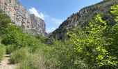 Randonnée Marche Rougon - Point sublime Verdon Blanc Martel 12 km - Photo 7