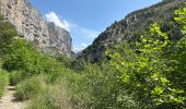 Percorso Marcia Rougon - Point sublime Verdon Blanc Martel 12 km - Photo 7