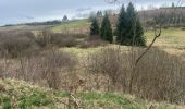 Percorso A piedi Büllingen - Balade des Jonquilles Krinkelt 12 Km - Photo 3