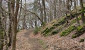 Tocht Stappen Érezée - A la découverte de Mormont  - Photo 14