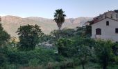Trail Walking Sainte-Lucie-de-Tallano - Santa Luccia a Burgo - Photo 11