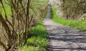 Trail Walking Fleurus - Marche Napoléon  - Photo 16