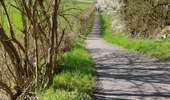 Trail Walking Fleurus - Marche Napoléon  - Photo 16