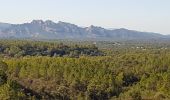 Tour Wandern Bagnols-en-Forêt - BAGNOLS EN FORÊT - LES GORGES DU BLAVET - Photo 19