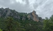 Tocht Elektrische fiets Millau - Millau gorges de la Jonte et gorges du Tarn - Photo 8