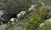 Trail Walking Cabril - PARC NATUREL GR 50 LAGUNE XERTELO - Photo 1