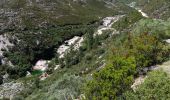 Excursión Senderismo Cabril - PARC NATUREL GR 50 LAGUNE XERTELO - Photo 1