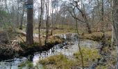 Percorso Marcia Fontainebleau - parcours des jonquilles - Photo 4