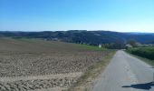 Randonnée Marche Lac de la Haute-Sûre - Liefrange 1 - Photo 1