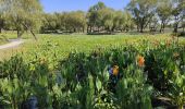 Tour Wandern Unknown - Jardin des lotus Gungnamji Pond - Photo 6