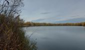 Excursión Senderismo Châteauneuf-du-Rhône - Châteauneuf-du-Rhône Les Iles 6km - Photo 9